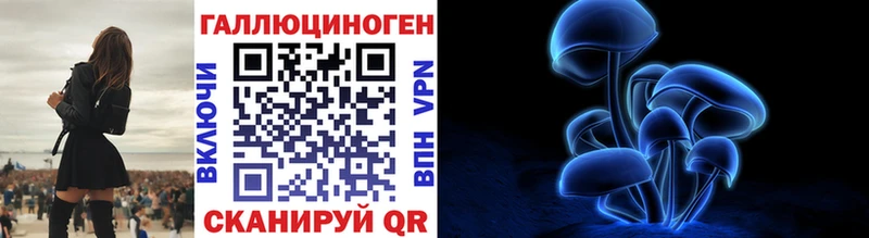 Псилоцибиновые грибы Psilocybe ОМГ ОМГ сайт Заполярный